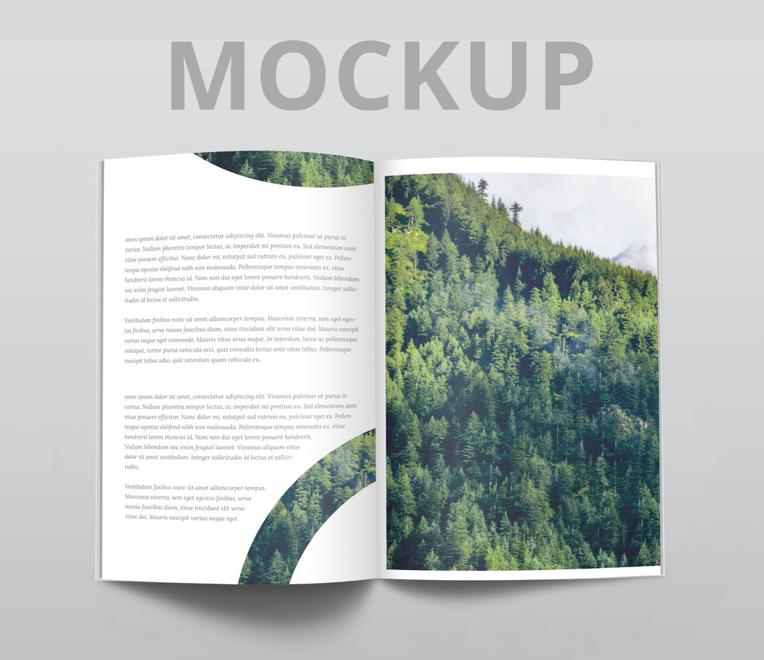 Free Top View Magazine Mockup (PSD)